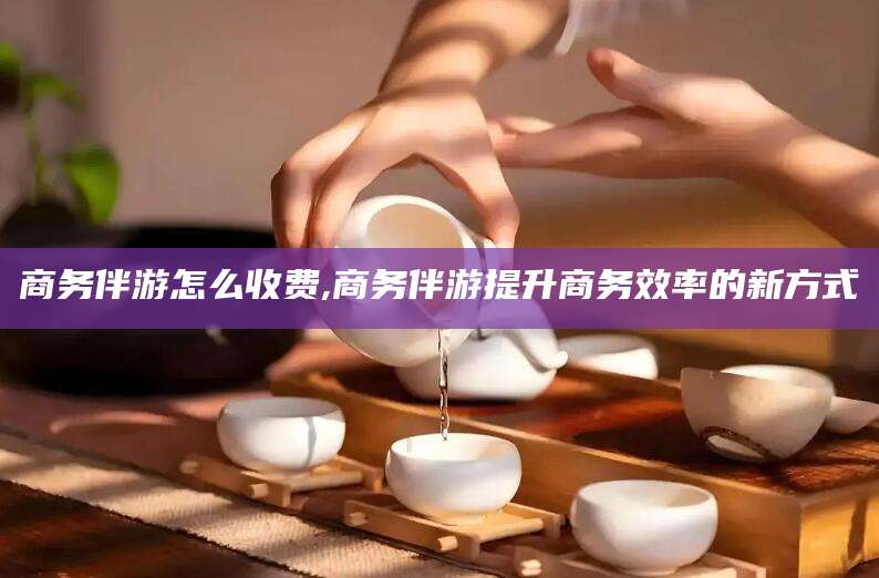 范县商务伴游怎么收费,商务伴游提升商务效率的新方式